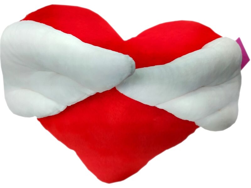 Сердце с крыльями 201912/23