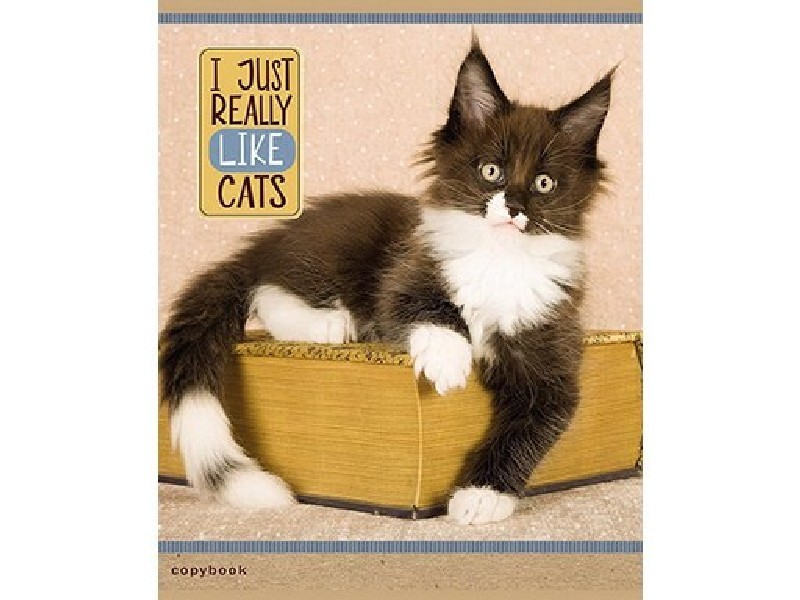 Тетрадь КЛЕТКА 36л "УЮТ И ПИТОМЦЫ" (цвет. мелов. обл., второй блок)