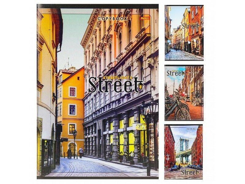 Тетрадь 96 л КЛЕТКА "УЛИЦЫ МЕГАПОЛИСОВ" (мелов. картон, второй блок)