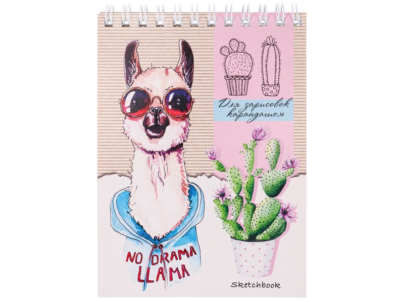Скетчбук А6 48л. ЛАМА И КАКТУС (гребень, глян. лам.) 48-5680