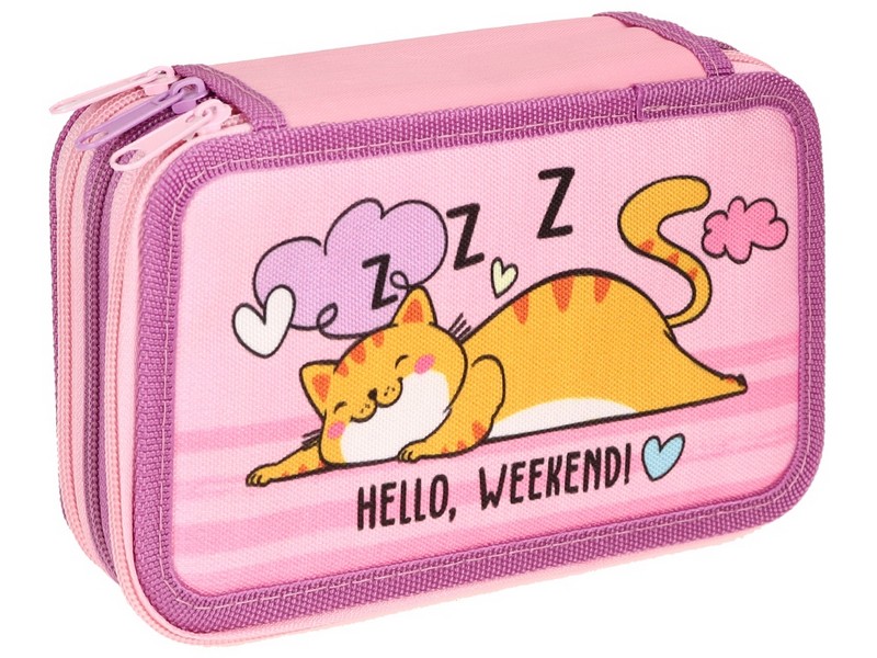 Пенал 3 секции ЛЕНИВЫЙ КОТИК-1 190*115 мм (печать на ткани) ПН-9822