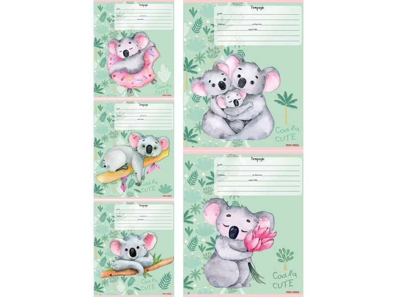 Тетрадь КЛЕТКА 12л "МИЛАЯ КОАЛА" (цвет. мелов. обл.)