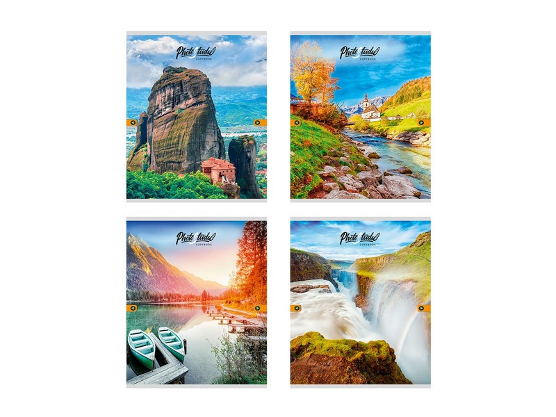 Тетрадь 96 л КЛЕТКА "ЗАХВАТЫВАЮЩИЕ ВИДЫ" (мелов. картон, второй блок)