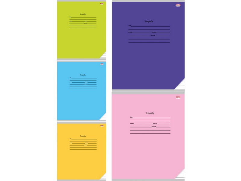 Тетрадь ЛИНИЯ 12л "КЛАССИКА" (цвет. мелов. обл.)