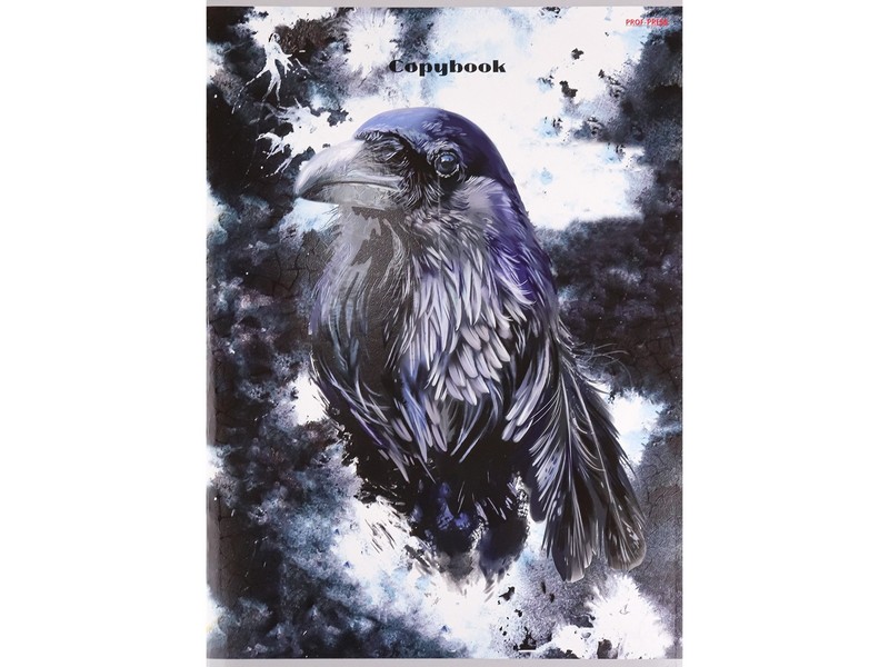 Тетрадь КЛЕТКА А4 96л "ВОРОН НА СЕРОМ" (цвет. мелов. обл.)