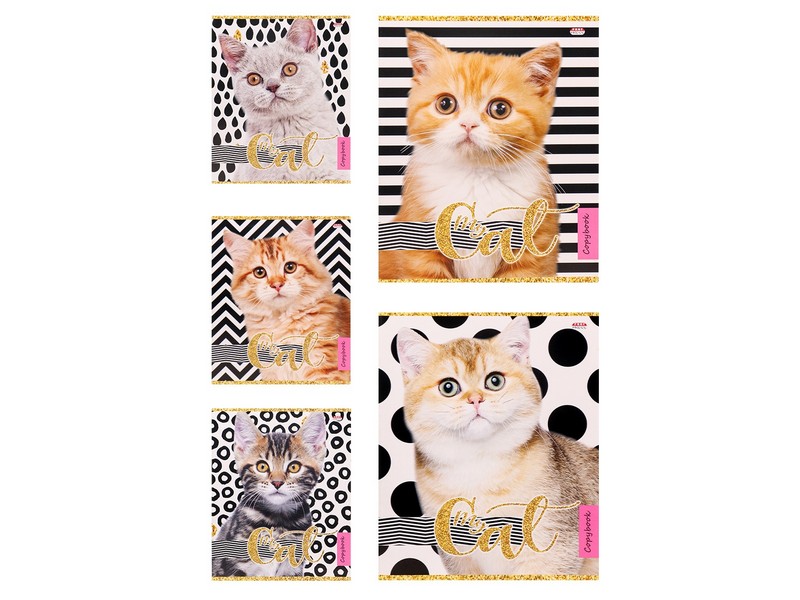 Купить оптом Тетрадь КЛЕТКА 48л "КОШАЧЬЕ УДИВЛЕНИЕ" (цвет. мелов. обл.) в Луганске