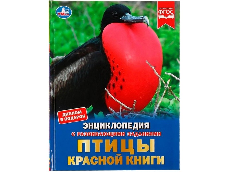 ЭНЦИКЛОПЕДИЯ А4. ПТИЦЫ КРАСНОЙ КНИГИ (С РАЗВИВАЮЩИМИ ЗАДАНИЯМИ)