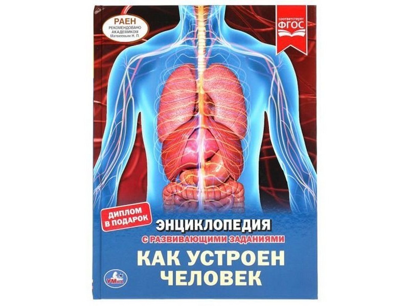 ЭНЦИКЛОПЕДИЯ А4. КАК УСТРОЕН ЧЕЛОВЕК (С РАЗВИВАЮЩИМИ ЗАДАНИЯМИ)