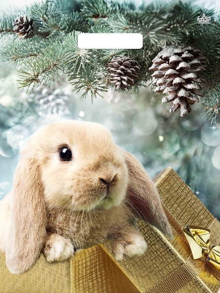 Пакет полиэтиленовый вырубной «ЗАЙЧИК В ПОДАРОК» 40*31см