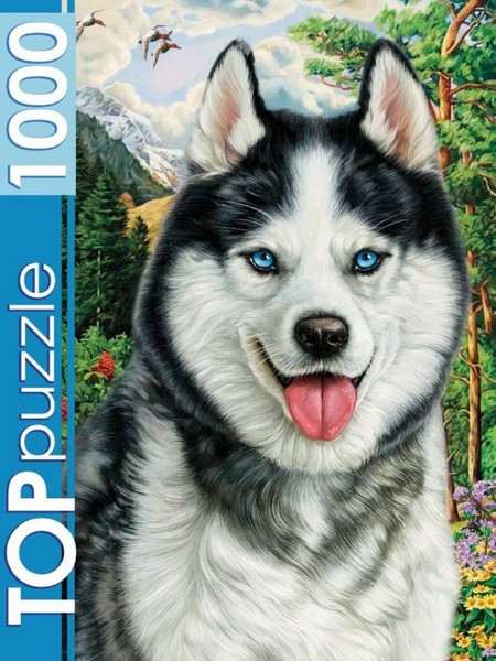 TOPpuzzle ПАЗЛЫ 1000 элементов. ПОРТРЕТ ХАСКИ