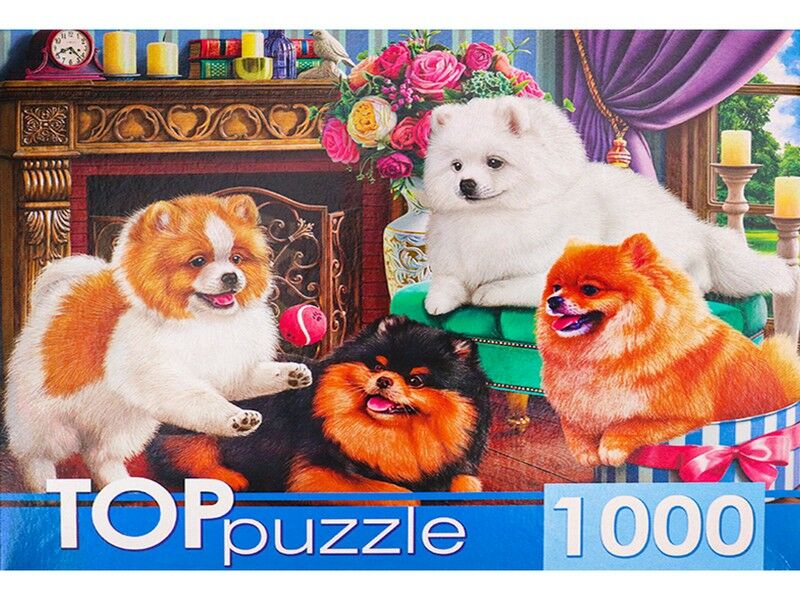 TOPpuzzle ПАЗЛЫ 1000 элементов. ИГРИВЫЕ ШПИЦЫ