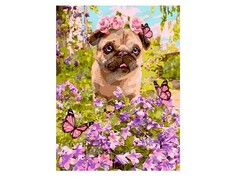 57869&nbsp;[Кпн-167]Картина на картоне с красками 20х28,5 см по номерам. МАЛЕНЬКИЙ ПЕСИК