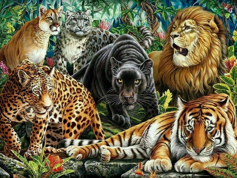 Холст с красками 40х50 см по номерам. ХИЩНАЯ КРАСОТА