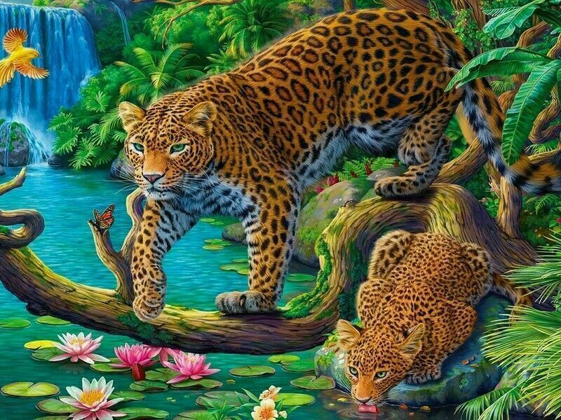 Холст с красками 40х50 см по номерам. ЯГУАРЫ НА ВОДОПОЕ