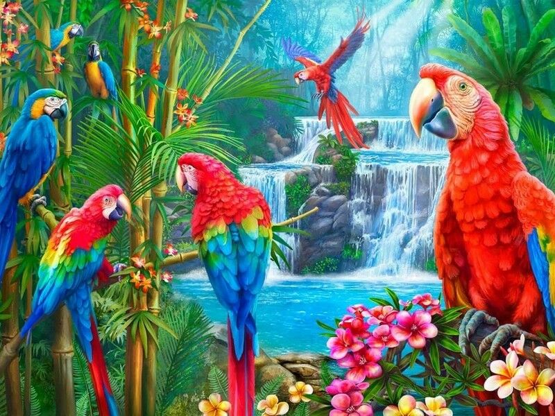 Холст с красками 40х50 см по номерам. ЯРКИЕ АРО