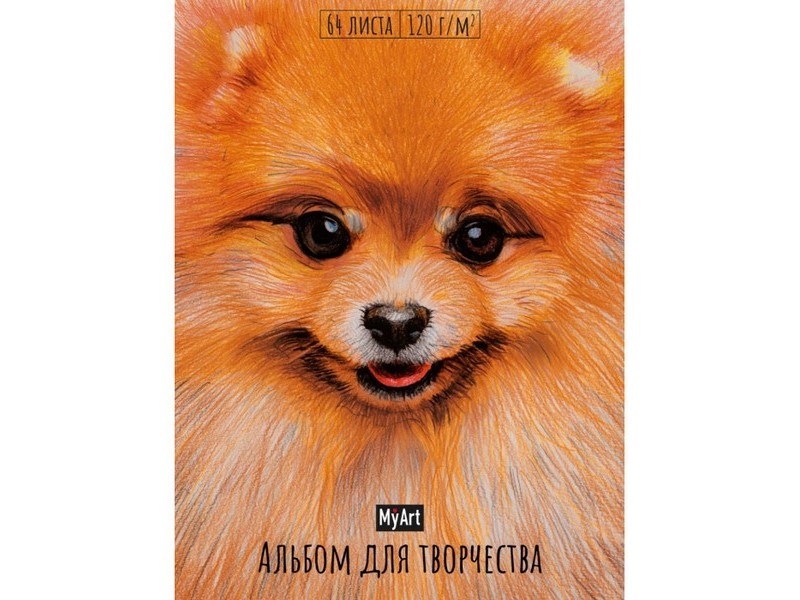 MyArt. Скетчбук А4 64 л ШПИЦ (7БЦ, глян. лам., на резинке)