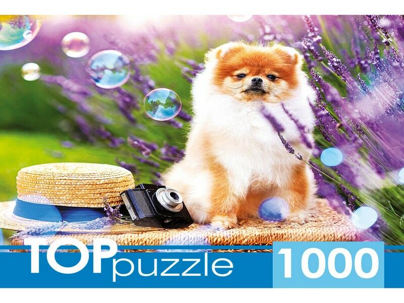 TOPpuzzle ПАЗЛЫ 1000 элементов. ШПИЦ В САДУ