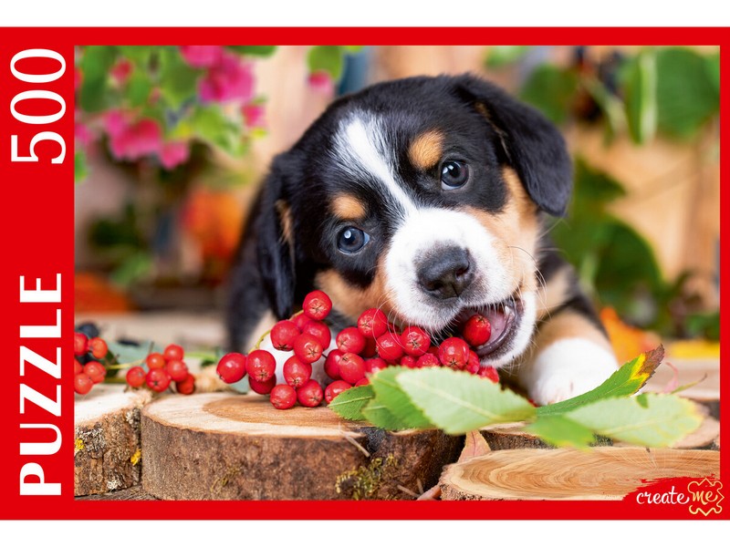 ПАЗЛЫ 500 элементов. ЩЕНОК БЕРНСКОГО ЗЕННЕНХУНДА