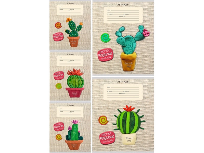 Купить оптом Тетрадь КЛЕТКА 18л "ПЛАСТИЛИНОВЫЕ КАКТУСЫ" (цвет. мелов. обл.) в Луганске