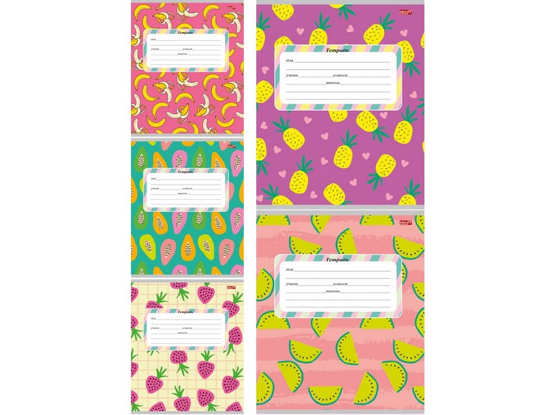 Тетрадь 18 л КЛЕТКА "УЗОРЫ ИЗ ФРУКТОВ" (цвет. мелов. обл.)