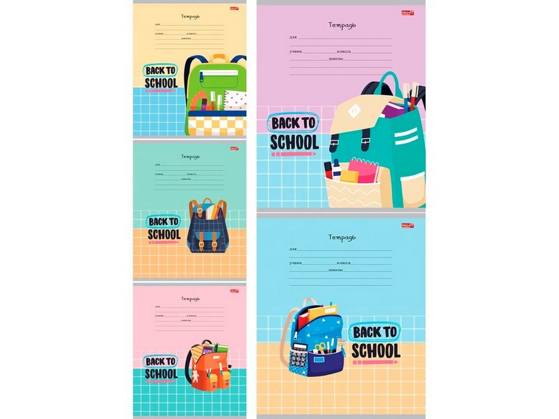 Тетрадь КЛЕТКА 24л. НАЗАД В ШКОЛУ-5 (цвет. мелов. обл.)