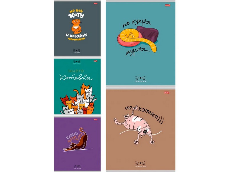 Тетрадь ЛИНИЯ 48л "КОШЕЧКИ И ЦИТАТЫ" (цвет. мелов. обл.)