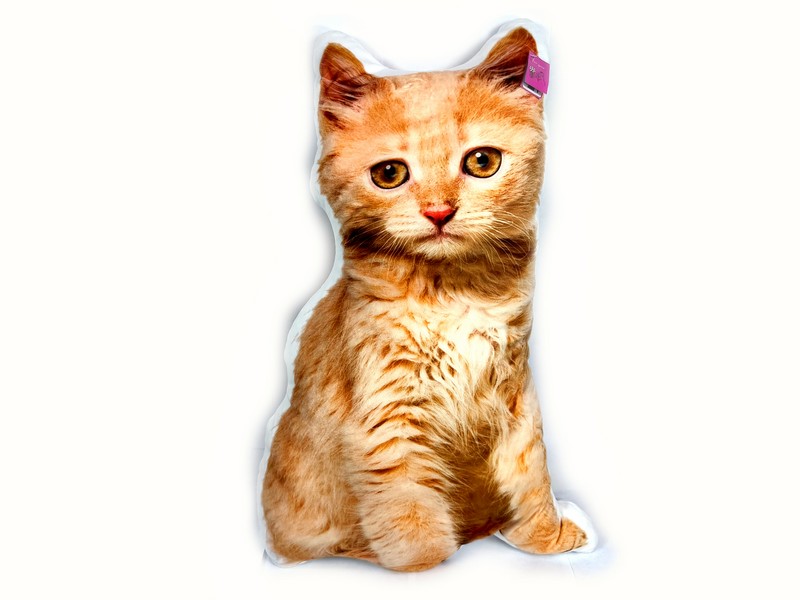 Купить оптом Подушка-игрушка Кошка Ангорская 67см FPАB-001 в Луганске