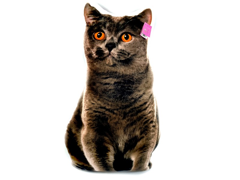 Подушка-игрушка Кошка Британец 67см FPАВ-003