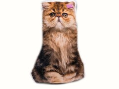59731&nbsp;[FPАВ-006]Подушка-игрушка Кошка Персидская 66см FPАВ-006