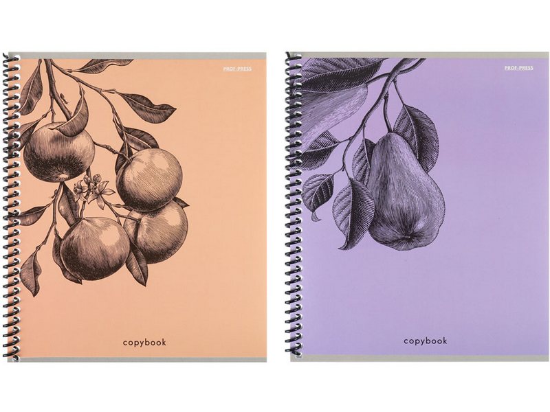 Тетрадь КЛЕТКА 48л «ФРУКТОВАЯ ЭСТЕТИКА» (спираль, цвет. мелов. обл.)