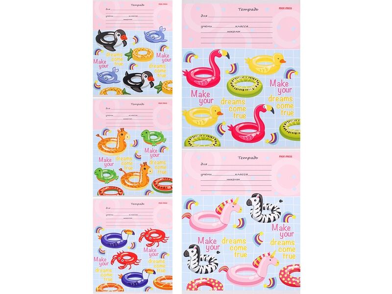 Тетрадь КЛЕТКА 12л «НАДУВНЫЕ КРУГИ» (цвет. мелов. обл.)