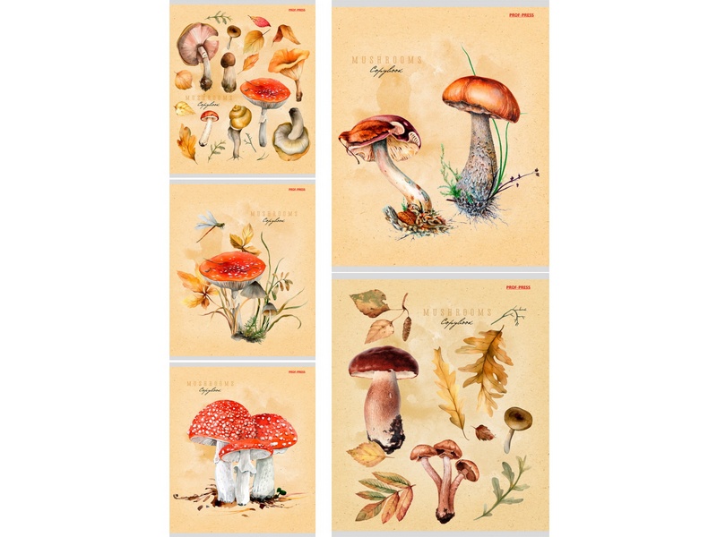 Тетрадь 48 л КЛЕТКА «ЛЕСНЫЕ ГРИБЫ» (цвет. мелов. обл., лен)