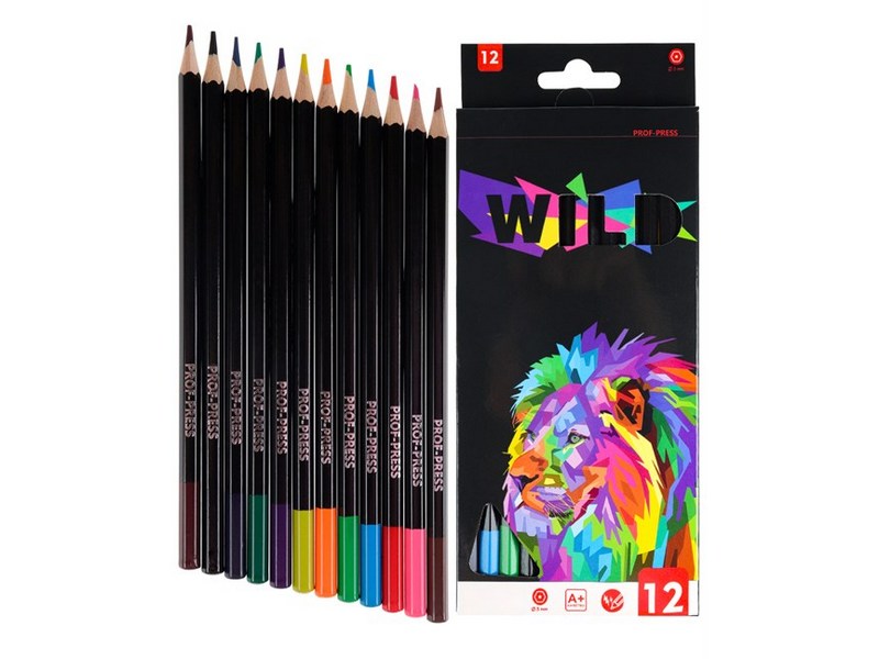 Карандаши цветные 12цв. «LION» d=3 мм