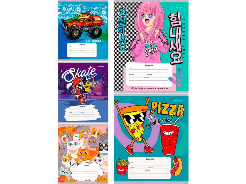 Тетрадь ДОПОЛНИТЕЛЬНАЯ КОСАЯ ЛИНИЯ 12л «МИКС-101» (цвет. мелов. обл.)