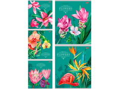 Тетрадь ЛИНИЯ 48л «ЭКЗОТИЧЕСКИЕ ЦВЕТЫ» (цвет. мелов. обл.)