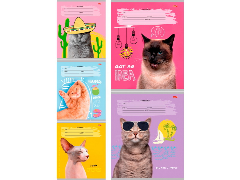 Тетрадь 18 л КЛЕТКА «КРЕАТИВНЫЕ КОТЫ» (мелов. картон, офсет)