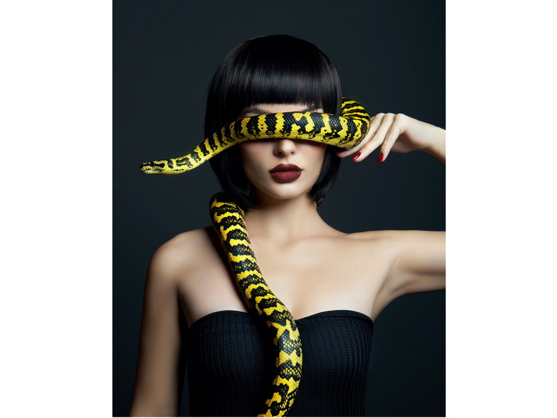 Холст с красками 40х50 см по номерам. ДЕВУШКА И ЗМЕЯ