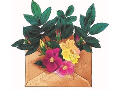 63351 [ASB016] Алмазная мозаика 20х20 см ПИСЬМО С ЦВЕТАМИ (без подр., с част. заполн., блест.)