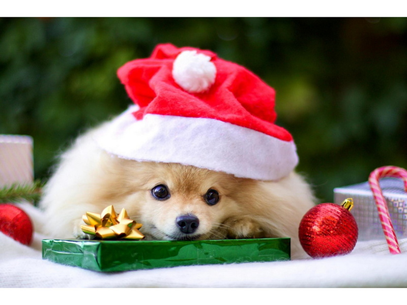 Холст с красками 17x22 см по номерам. МАЛЕНЬКИЙ ПОДАРОК