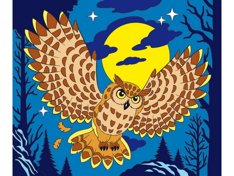 Холст с красками 25х30 см по номерам в пленке. НОЧНАЯ СОВА