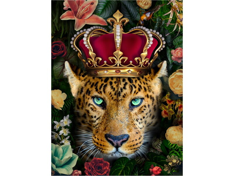 Холст с красками 30х40 см по номерам. КОРОЛЕВСКИЙ ЛЕОПАРД