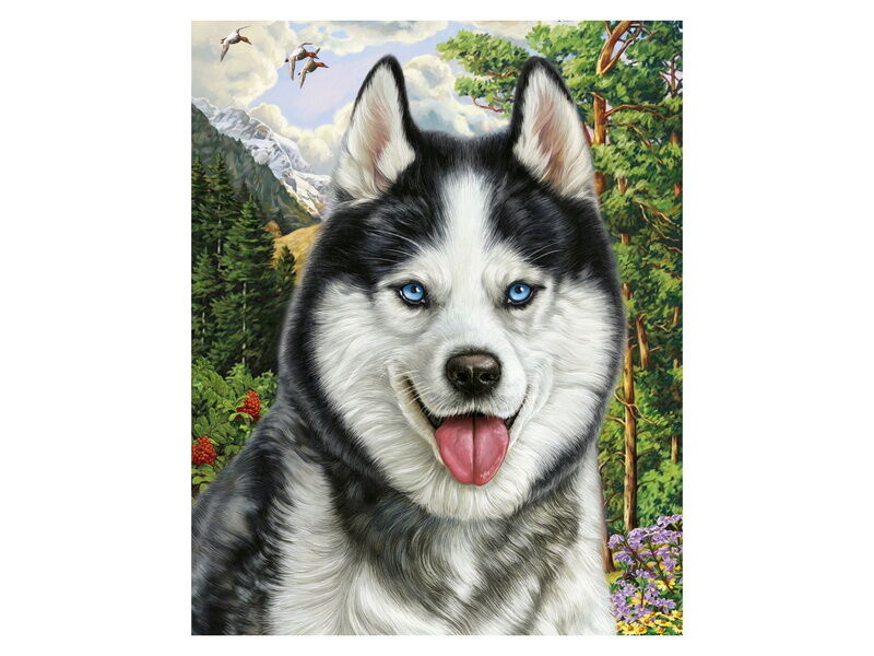 Холст с красками 40х50 см по номерам. ХАСКИ В ГОРАХ