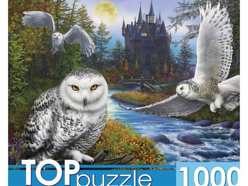 TOPpuzzle ПАЗЛЫ 1000 элементов. МАГИЧЕСКАЯ СОВА И ЗАМОК