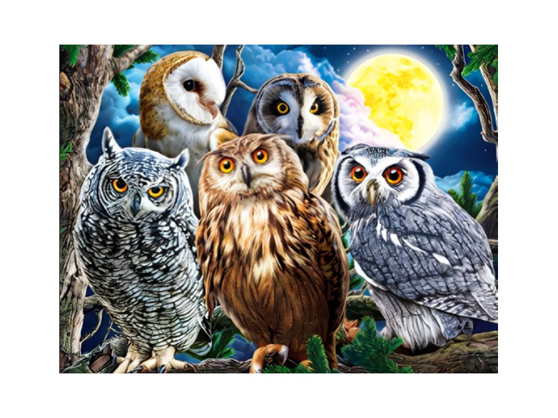 Холст с красками 30х40 см по номерам. НОЧНЫЕ СОВЫ НА ВЕТКЕ