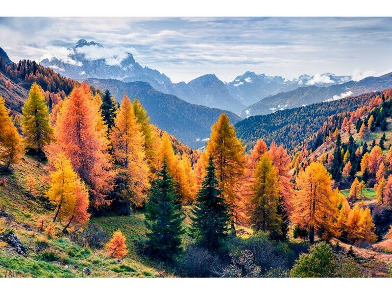 Холст с красками 30х40 см по номерам. ОСЕННИЕ ГОРЫ С ДЫМКОЙ