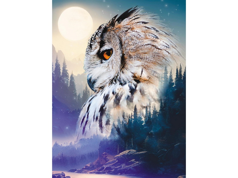 Холст с красками 30х40 см по номерам. СОВА С ЛУНОЙ