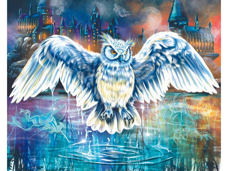 Холст с красками 40х50 см по номерам. СОВА И ВОЛШЕБНЫЙ ЗАМОК