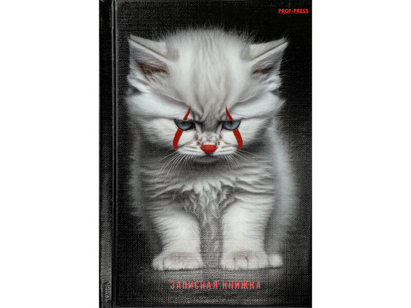 Записная книжка А6 64л. «КОТ ПЕННИВАЙЗА» (7БЦ, глян. лам., лен)