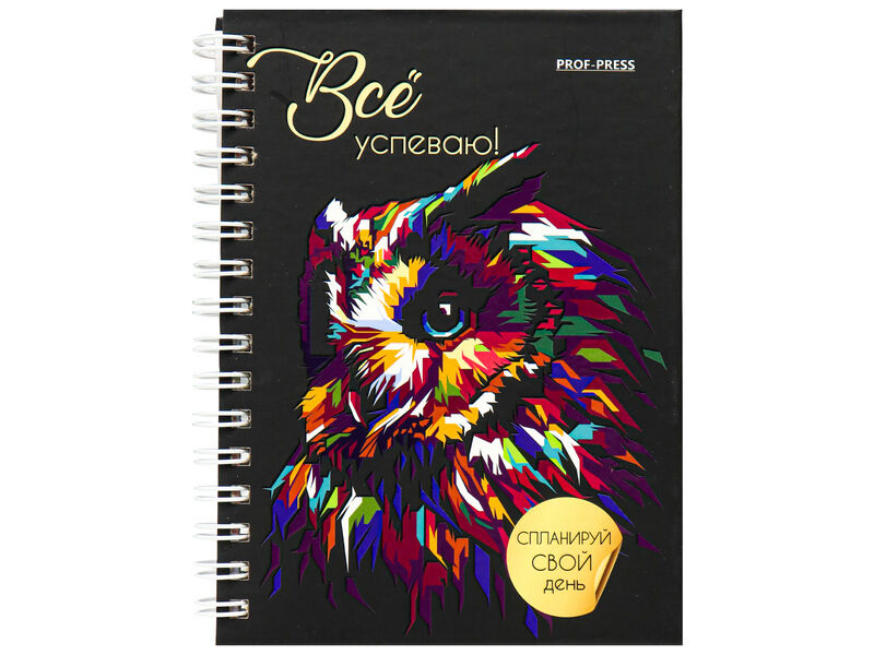 Ежедневник А6 48л. «СОВА» (7БЦ, мат. лам., офсет)