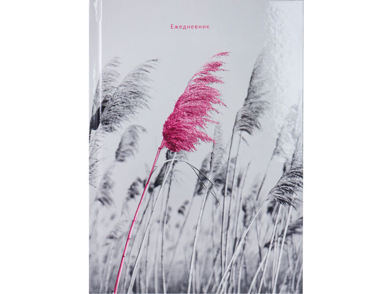 Ежедневник А5 80л. недатир. «РОЗОВЫЕ ДЕТАЛИ» (7БЦ, цвет. мелов. обл.)